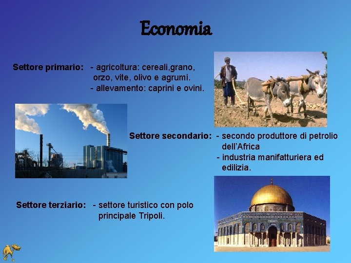 Economia Settore primario: - agricoltura: cereali, grano, orzo, vite, olivo e agrumi. - allevamento: