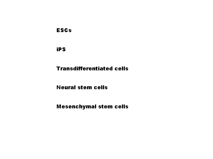 ESCs i. PS Transdifferentiated cells Neural stem cells Mesenchymal stem cells 