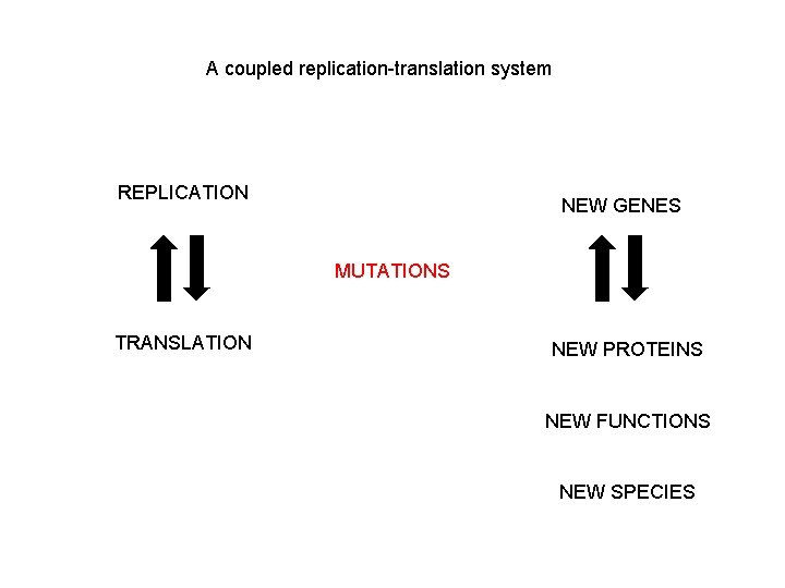 A coupled replication-translation system REPLICATION NEW GENES MUTATIONS TRANSLATION NEW PROTEINS NEW FUNCTIONS NEW