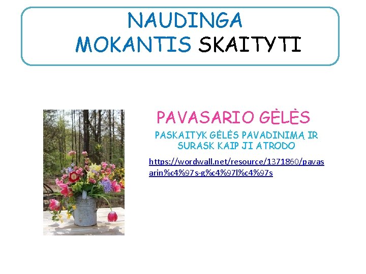 NAUDINGA MOKANTIS SKAITYTI PAVASARIO GĖLĖS PASKAITYK GĖLĖS PAVADINIMĄ IR SURASK KAIP JI ATRODO https: