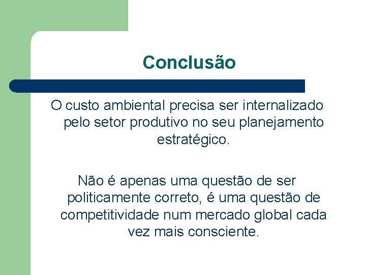 Conclusão O custo ambiental precisa ser internalizado pelo setor produtivo no seu planejamento estratégico.