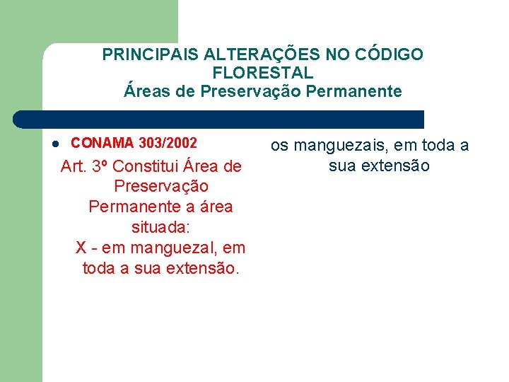 PRINCIPAIS ALTERAÇÕES NO CÓDIGO FLORESTAL Áreas de Preservação Permanente l CONAMA 303/2002 Art. 3º