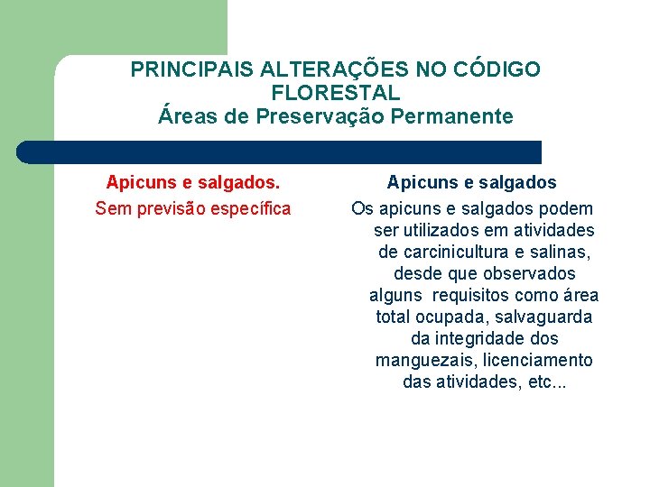 PRINCIPAIS ALTERAÇÕES NO CÓDIGO FLORESTAL Áreas de Preservação Permanente Apicuns e salgados. Sem previsão