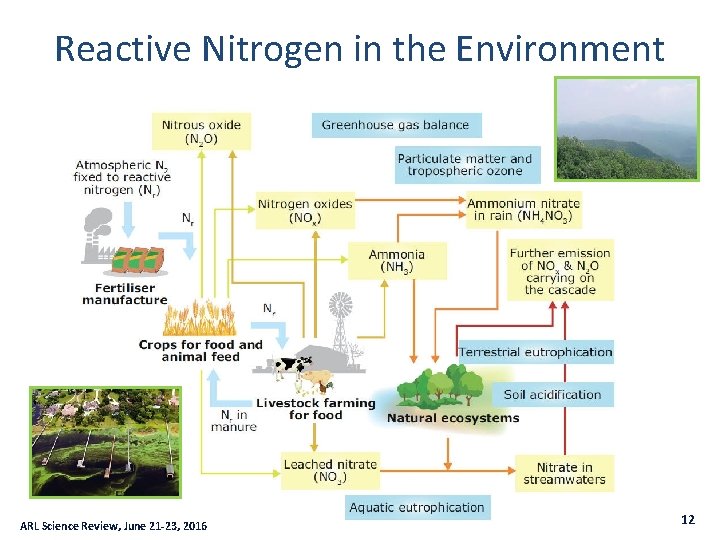 Reactive Nitrogen in the Environment ARL Science Review, June 21 -23, 2016 12 