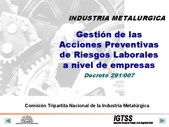 INDUSTRIA METALURGICA Gestión de las Acciones Preventivas de Riesgos Laborales a nivel de empresas