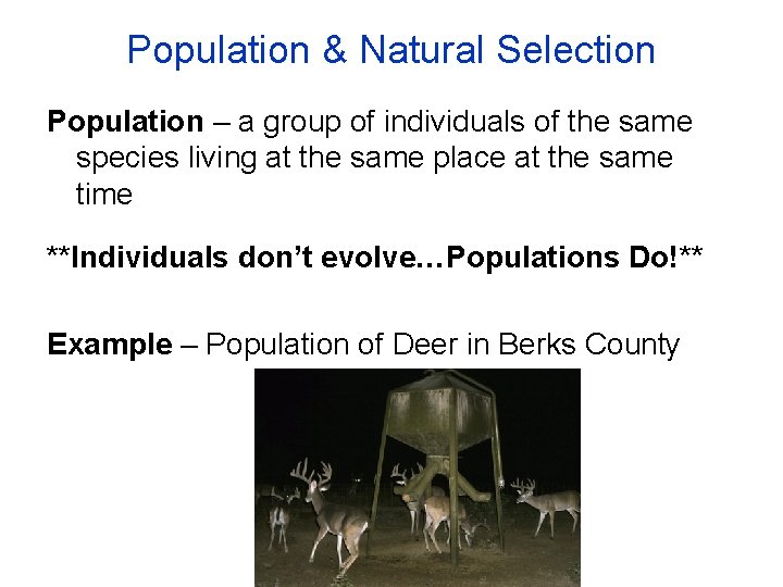 Population & Natural Selection Population – a group of individuals of the same species