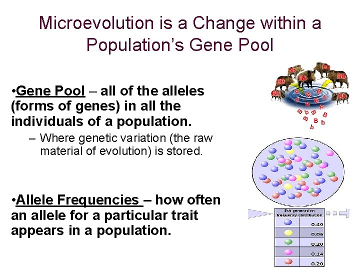 Microevolution is a Change within a Population’s Gene Pool • Gene Pool – all