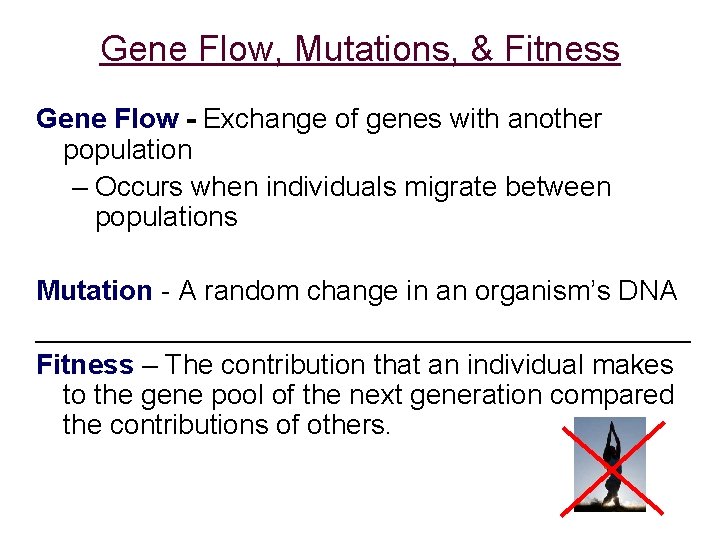 Gene Flow, Mutations, & Fitness Gene Flow - Exchange of genes with another population