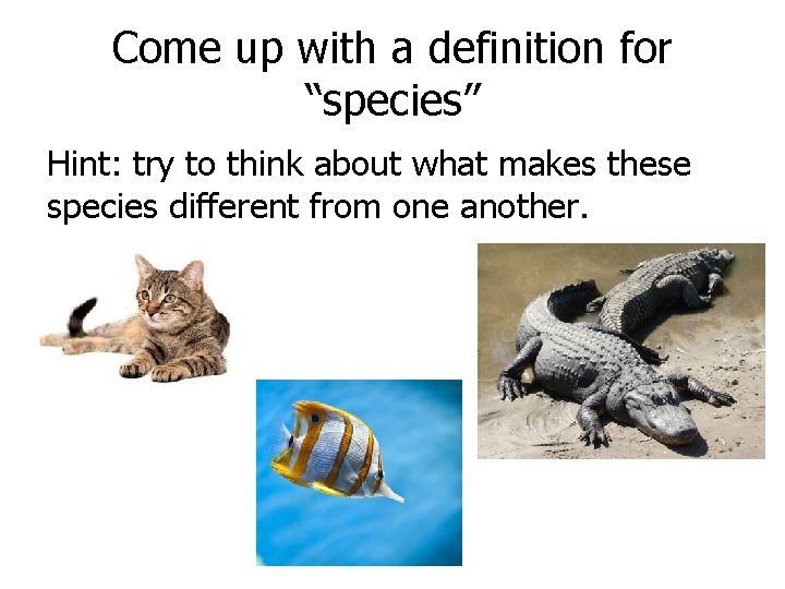 Come up with a definition for “species” Hint: try to think about what makes