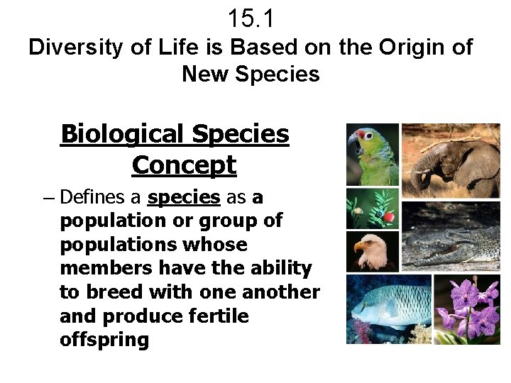 15. 1 Diversity of Life is Based on the Origin of New Species Biological