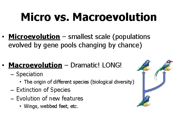 Micro vs. Macroevolution • Microevolution – smallest scale (populations evolved by gene pools changing