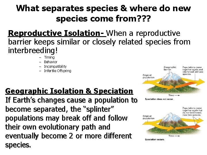 What separates species & where do new species come from? ? ? Reproductive Isolation-