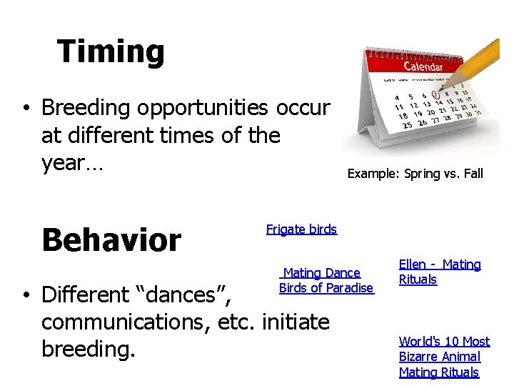 Timing • Breeding opportunities occur at different times of the year… Behavior Example: Spring