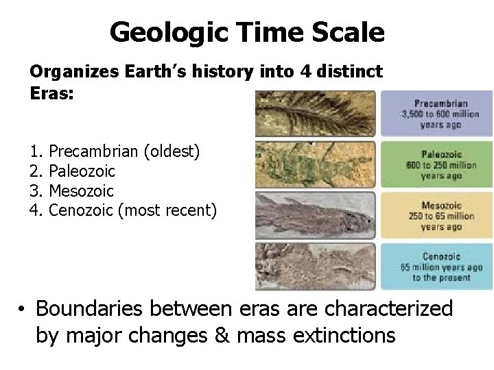 Geologic Time Scale Organizes Earth’s history into 4 distinct Eras: 1. 2. 3. 4.