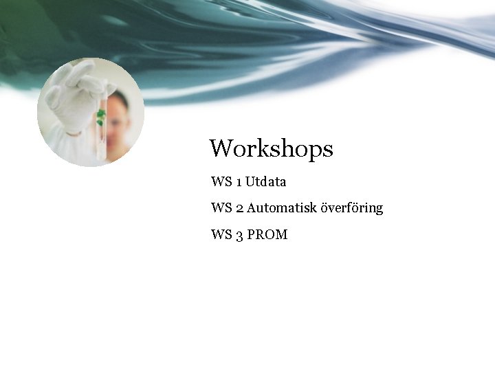 Workshops WS 1 Utdata WS 2 Automatisk överföring WS 3 PROM 