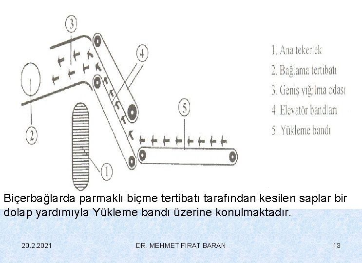Biçerbağlarda parmaklı biçme tertibatı tarafından kesilen saplar bir dolap yardımıyla Yükleme bandı üzerine konulmaktadır.