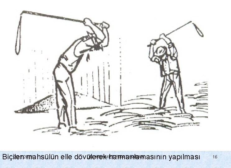 20. 2. 2021 DR. MEHMET FIRAT BARAN Biçilen mahsülün elle dövülerek harmanlamasının yapılması 16