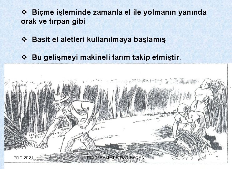 v Biçme işleminde zamanla el ile yolmanın yanında orak ve tırpan gibi v Basit