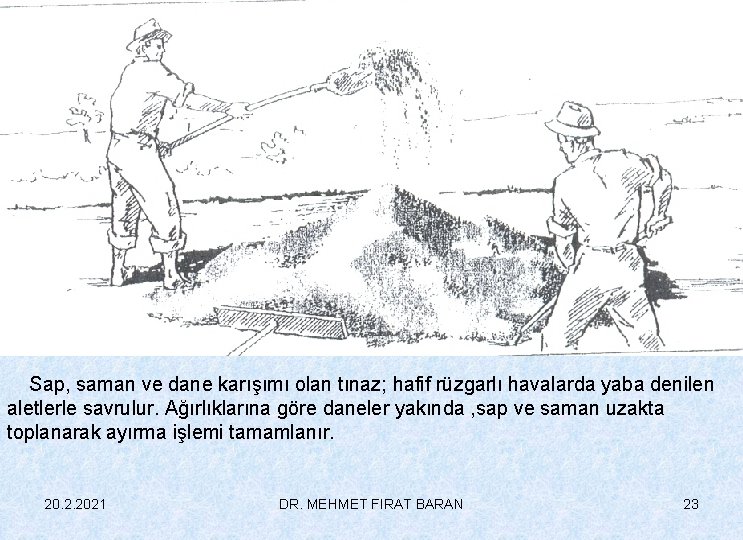 Sap, saman ve dane karışımı olan tınaz; hafif rüzgarlı havalarda yaba denilen aletlerle savrulur.