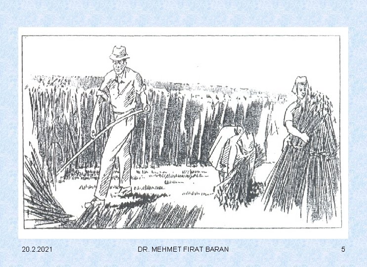 20. 2. 2021 DR. MEHMET FIRAT BARAN 5 