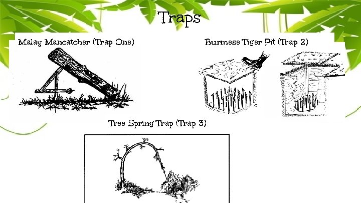 Traps Malay Mancatcher (Trap One) Burmese Tiger Pit (Trap 2) Tree Spring Trap (Trap