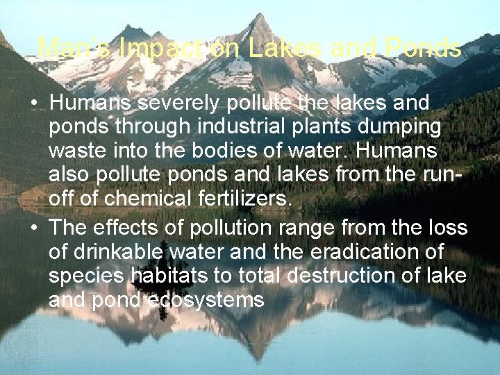 Man’s Impact on Lakes and Ponds • Humans severely pollute the lakes and ponds