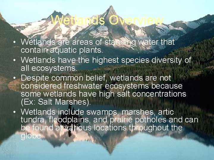 Wetlands Overview • Wetlands areas of standing water that contain aquatic plants. • Wetlands