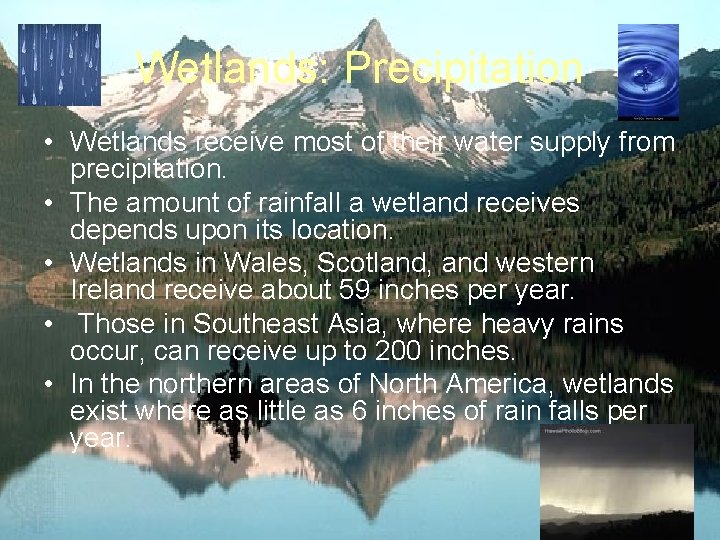 Wetlands: Precipitation • Wetlands receive most of their water supply from precipitation. • The