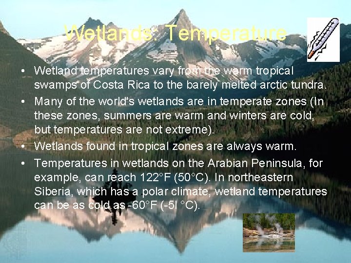Wetlands: Temperature • Wetland temperatures vary from the warm tropical swamps of Costa Rica