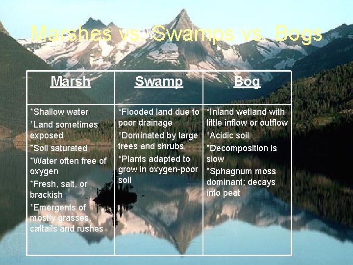 Marshes vs. Swamps vs. Bogs Marsh Swamp Bog *Shallow water *Land sometimes exposed *Soil