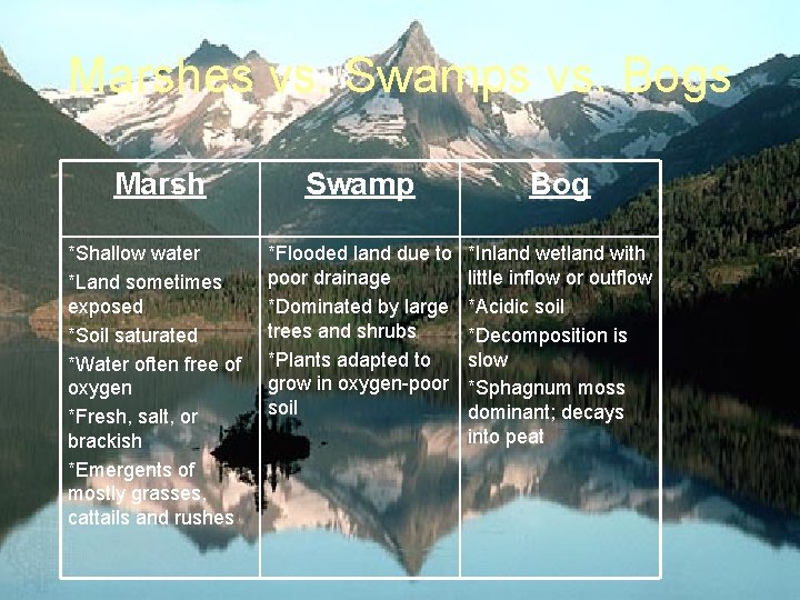 Marshes vs. Swamps vs. Bogs Marsh Swamp Bog *Shallow water *Land sometimes exposed *Soil Marshes vs. Swamps vs. Bogs Marsh Swamp Bog *Shallow water *Land sometimes exposed *Soil
