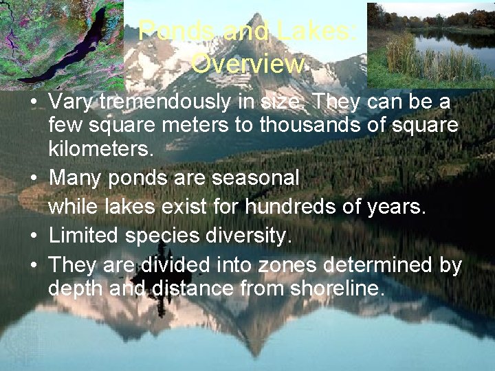 Ponds and Lakes: Overview • Vary tremendously in size. They can be a few