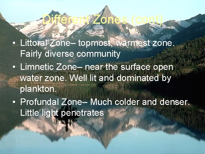Different Zones (cont) • Littoral Zone– topmost, warmest zone. Fairly diverse community • Limnetic
