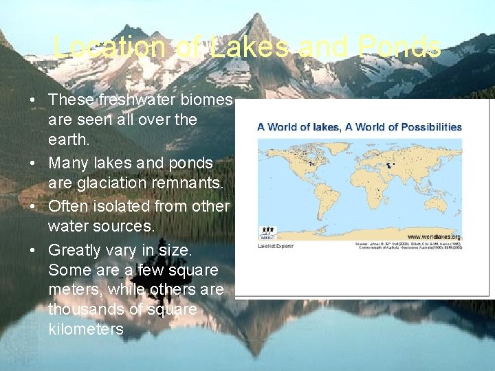 Location of Lakes and Ponds • These freshwater biomes are seen all over the