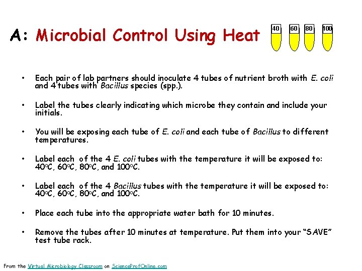 A: Microbial Control Using Heat 40 60 80 100 • Each pair of lab