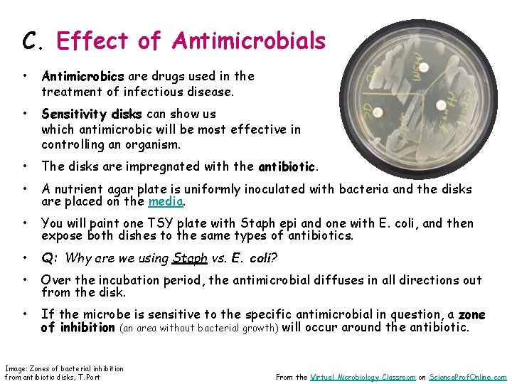 C. Effect of Antimicrobials • Antimicrobics are drugs used in the treatment of infectious