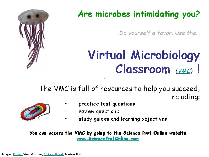 Are microbes intimidating you? Do yourself a favor. Use the… Virtual Microbiology Classroom (VMC)