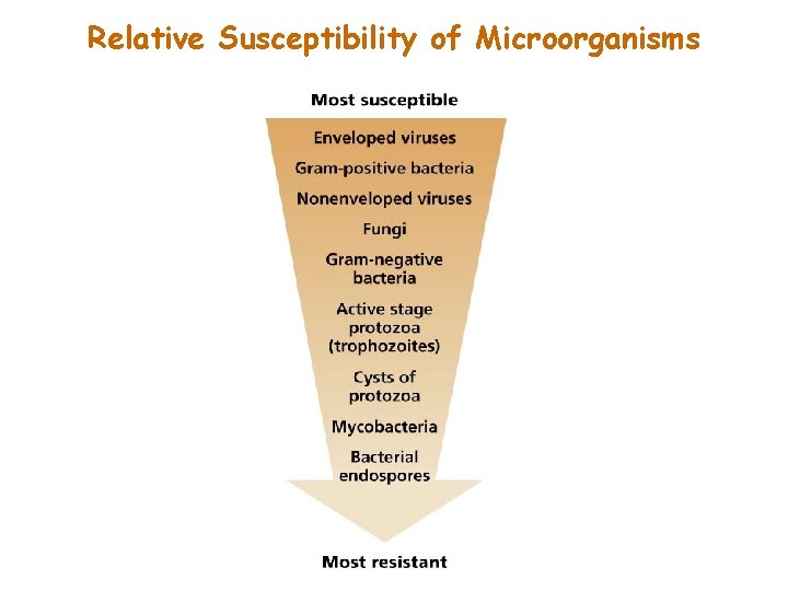 Relative Susceptibility of Microorganisms 