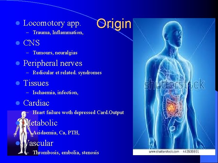 l Locomotory app. – Trauma, Inflammation, l Origin CNS – Tumours, neuralgias l Peripheral