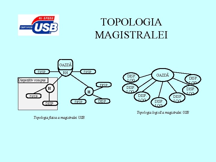 TOPOLOGIA MAGISTRALEI GAZDÃ DISP. RH Dispozitiv compus DISP. H H DISP. GAZDÃ DISP. LOG.