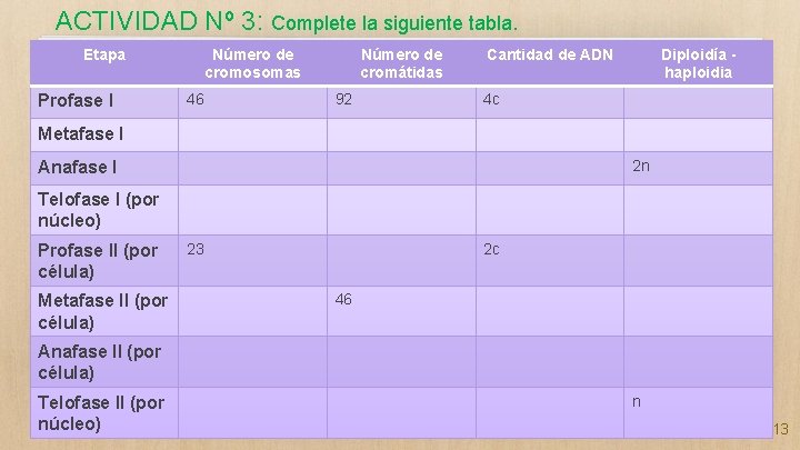 ACTIVIDAD Nº 3: Complete la siguiente tabla. Etapa Profase I Número de cromosomas 46