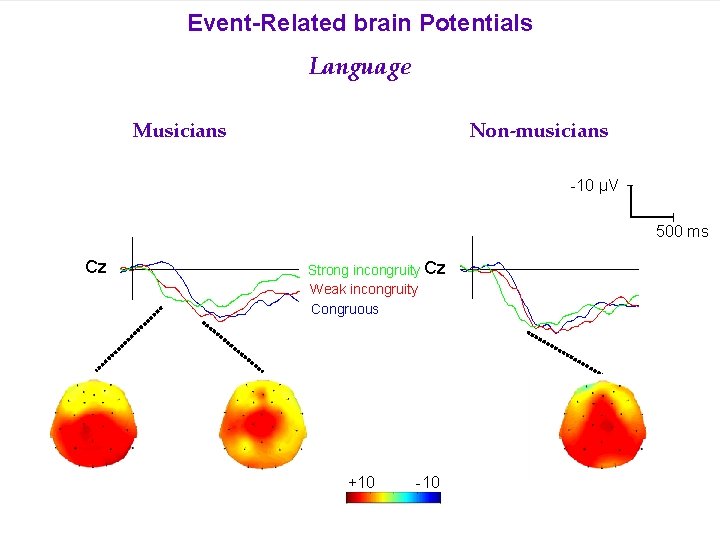 Event-Related brain Potentials Language Musicians Non-musicians -10 µV 500 ms Cz Strong incongruity Cz
