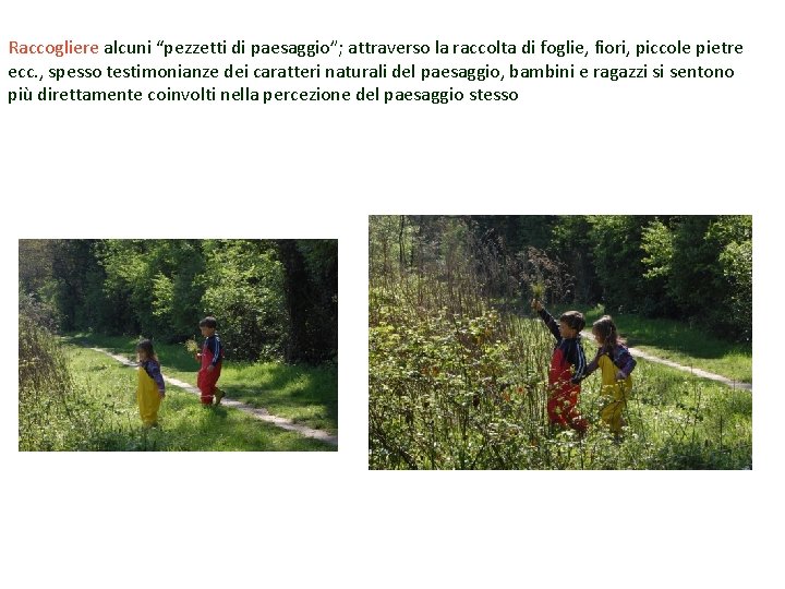 Raccogliere alcuni “pezzetti di paesaggio”; attraverso la raccolta di foglie, fiori, piccole pietre ecc.