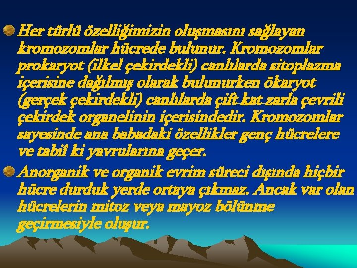 Her türlü özelliğimizin oluşmasını sağlayan kromozomlar hücrede bulunur. Kromozomlar prokaryot (ilkel çekirdekli) canlılarda sitoplazma