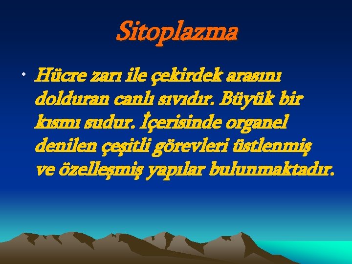 Sitoplazma • Hücre zarı ile çekirdek arasını dolduran canlı sıvıdır. Büyük bir kısmı sudur.