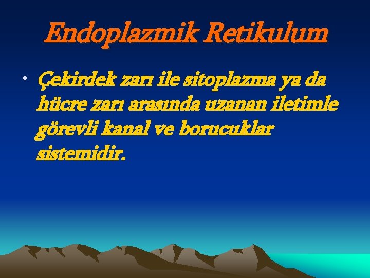 Endoplazmik Retikulum • Çekirdek zarı ile sitoplazma ya da hücre zarı arasında uzanan iletimle