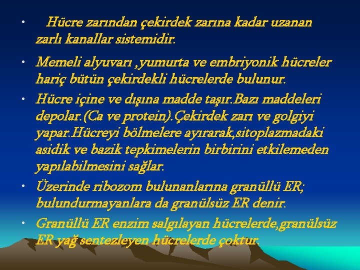  • Hücre zarından çekirdek zarına kadar uzanan zarlı kanallar sistemidir. • Memeli alyuvarı