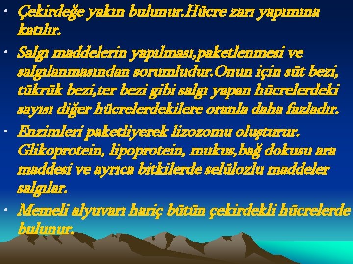  • Çekirdeğe yakın bulunur. Hücre zarı yapımına katılır. • Salgı maddelerin yapılması, paketlenmesi