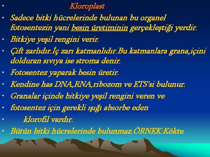  • Kloroplast • Sadece bitki hücrelerinde bulunan bu organel fotosentezin yani besin üretiminin