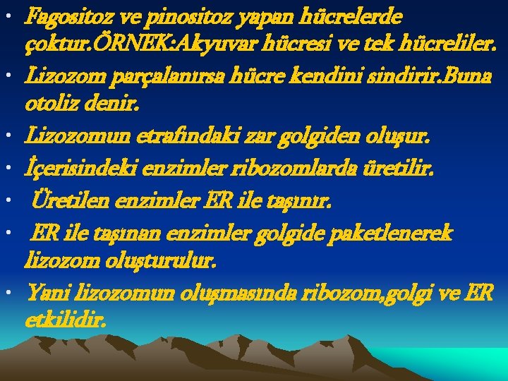  • Fagositoz ve pinositoz yapan hücrelerde çoktur. ÖRNEK: Akyuvar hücresi ve tek hücreliler.